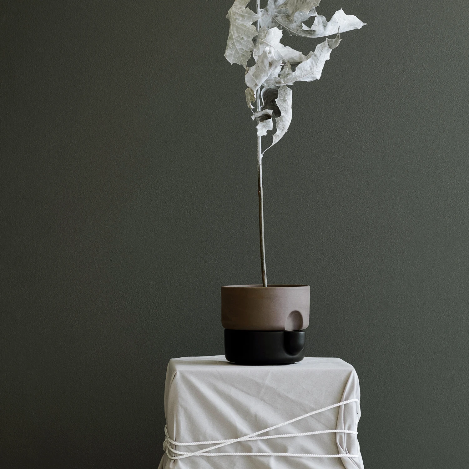 Northern Oasis Zelfwaterende Bloempot Klein Ø15 Cm - Afbeelding 2