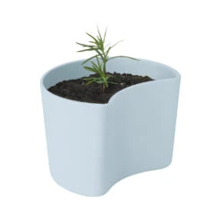 RIG TIG YOUR TREE Pot Met Zaadjes