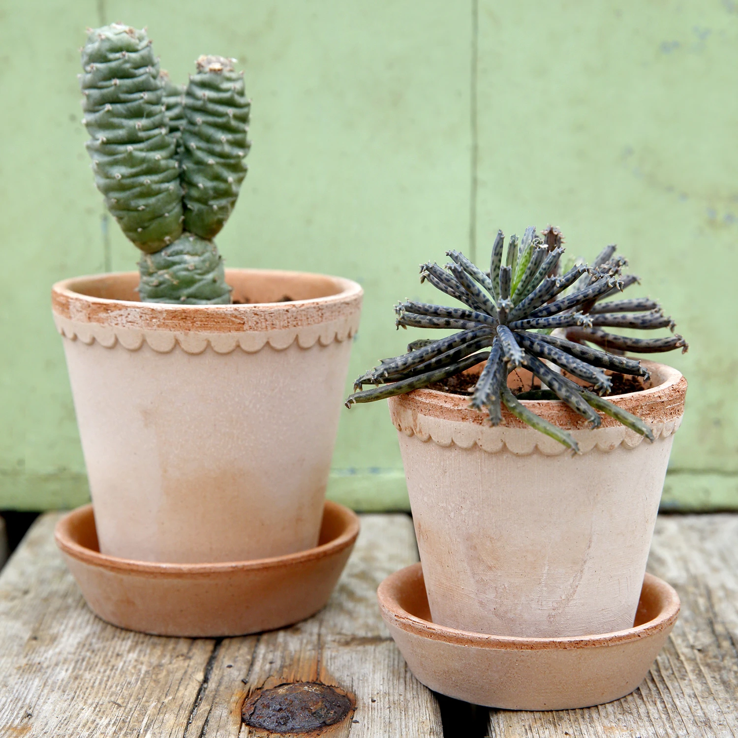 Bergs Potter Helena Pot Ø14 Cm - Afbeelding 3