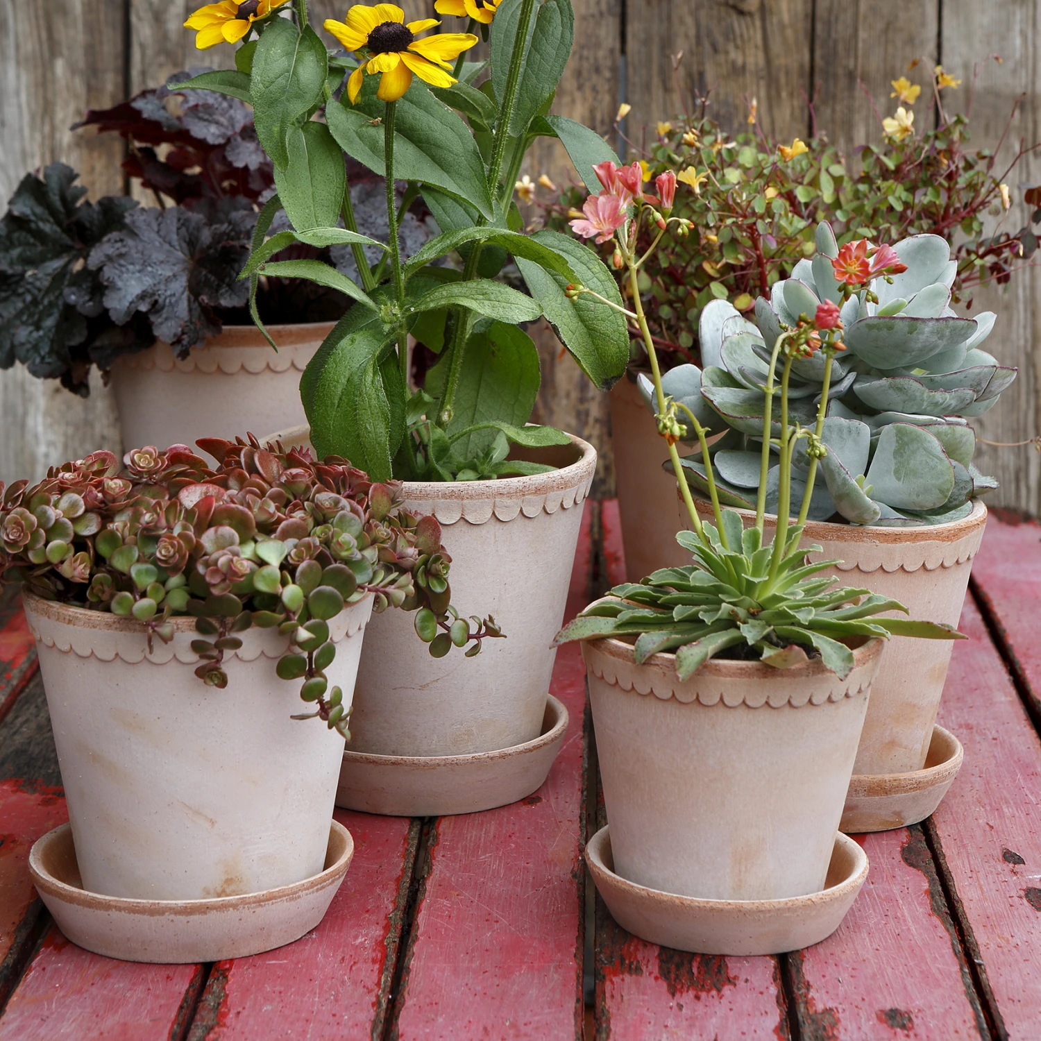 Bergs Potter Helena Pot Ø16 Cm - Afbeelding 2