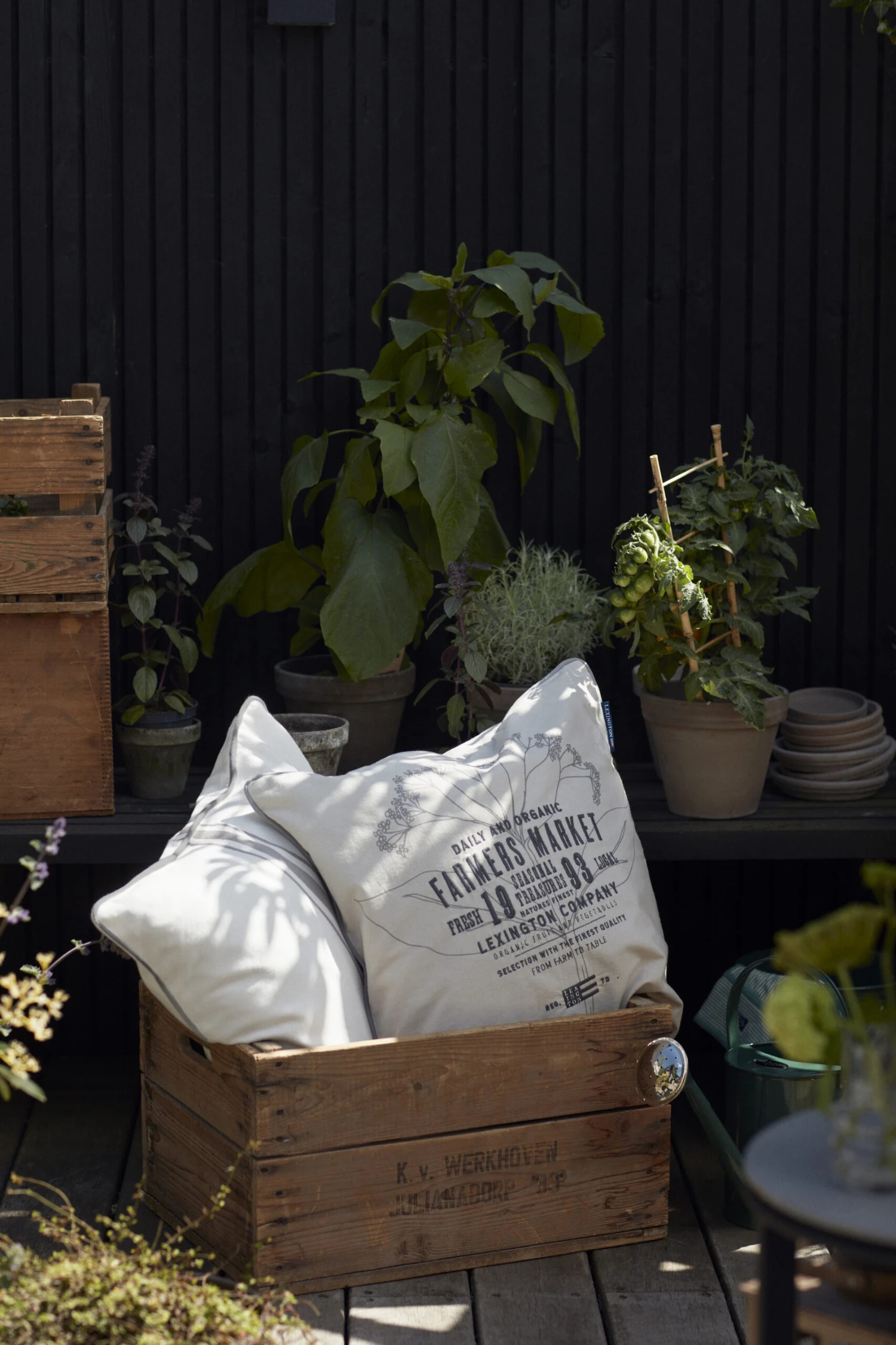 Lexington Farmers Market Kussenhoes 50x50 Cm - Afbeelding 6